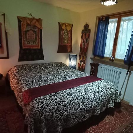 Butterfly B&B Castrocaro Terme Esterno foto